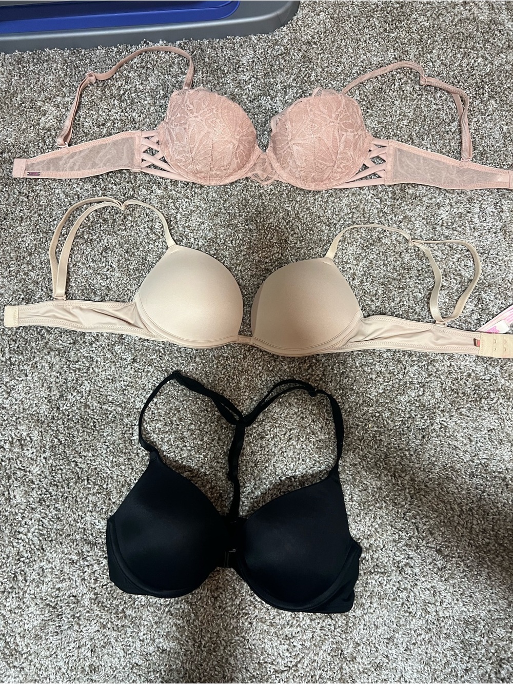 Victoria’s Secret PINK Date Push-Up Bra in Blush Pink Lace and Black Push-Up